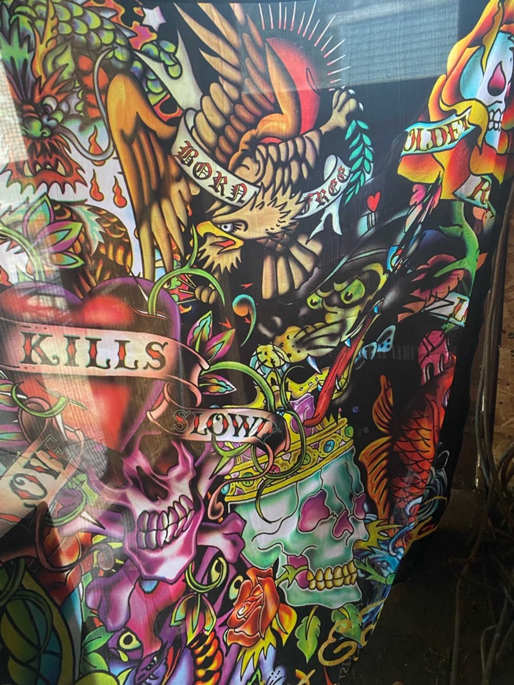 Don-Ed Hardy Designs Vibrant Tattoo-Style Skull & Eagle Art Print - Multicolor